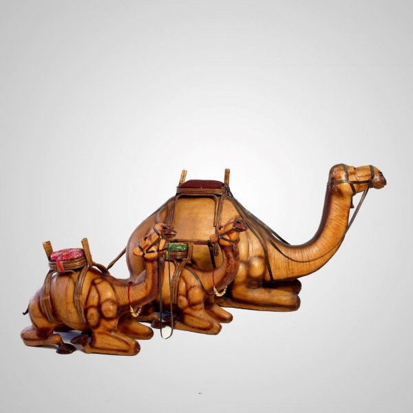 ACC-9 Life Size Camels
