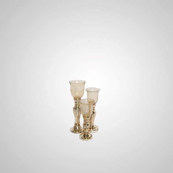 CEN-24 Trophy Cup (Gold)